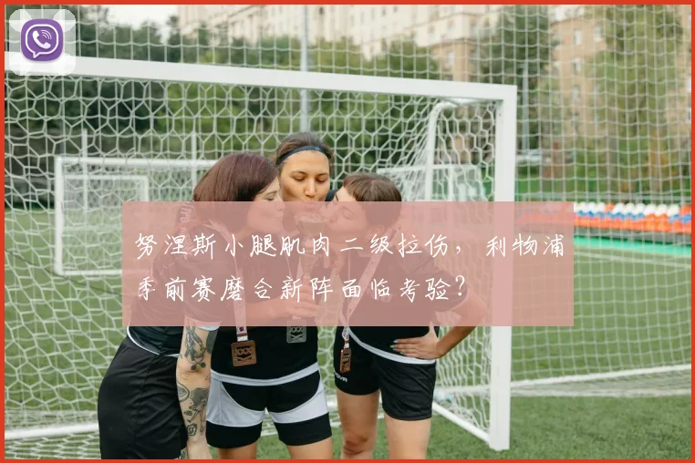 努涅斯小腿肌肉二级拉伤，利物浦季前赛磨合新阵面临考验？