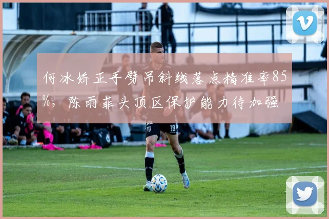 何冰娇正手劈吊斜线落点精准率85%，陈雨菲头顶区保护能力待加强